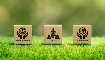 Investment Strategies illustration